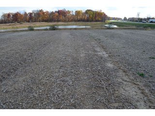 Property photo 37 - 127 Acres Offered in 8 Tracts - Allen & Dekalb County Land